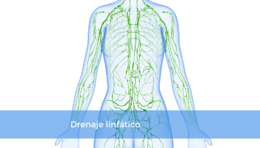 drenaje-linfatico-1